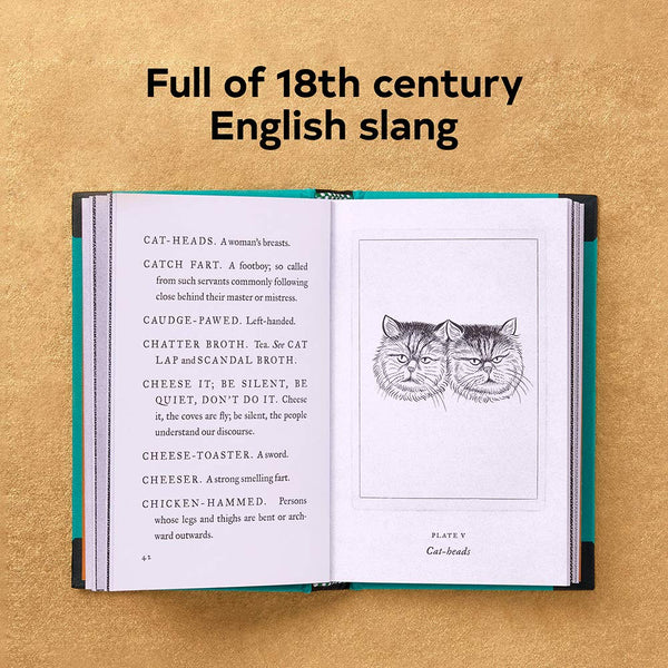 Pocket Dictionary of the Vulgar Tongue