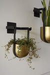 Pot suspendu Benton {plusieurs tailles}