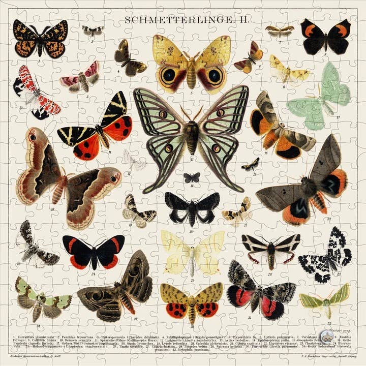 Wooden Puzzle | Butterflies + Moths {in glass apothecary jar}