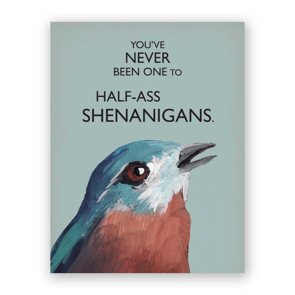 Oiseaux troublés : manigances