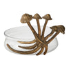 Collection Lichen {plusieurs styles}