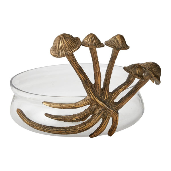 Collection Lichen {plusieurs styles}