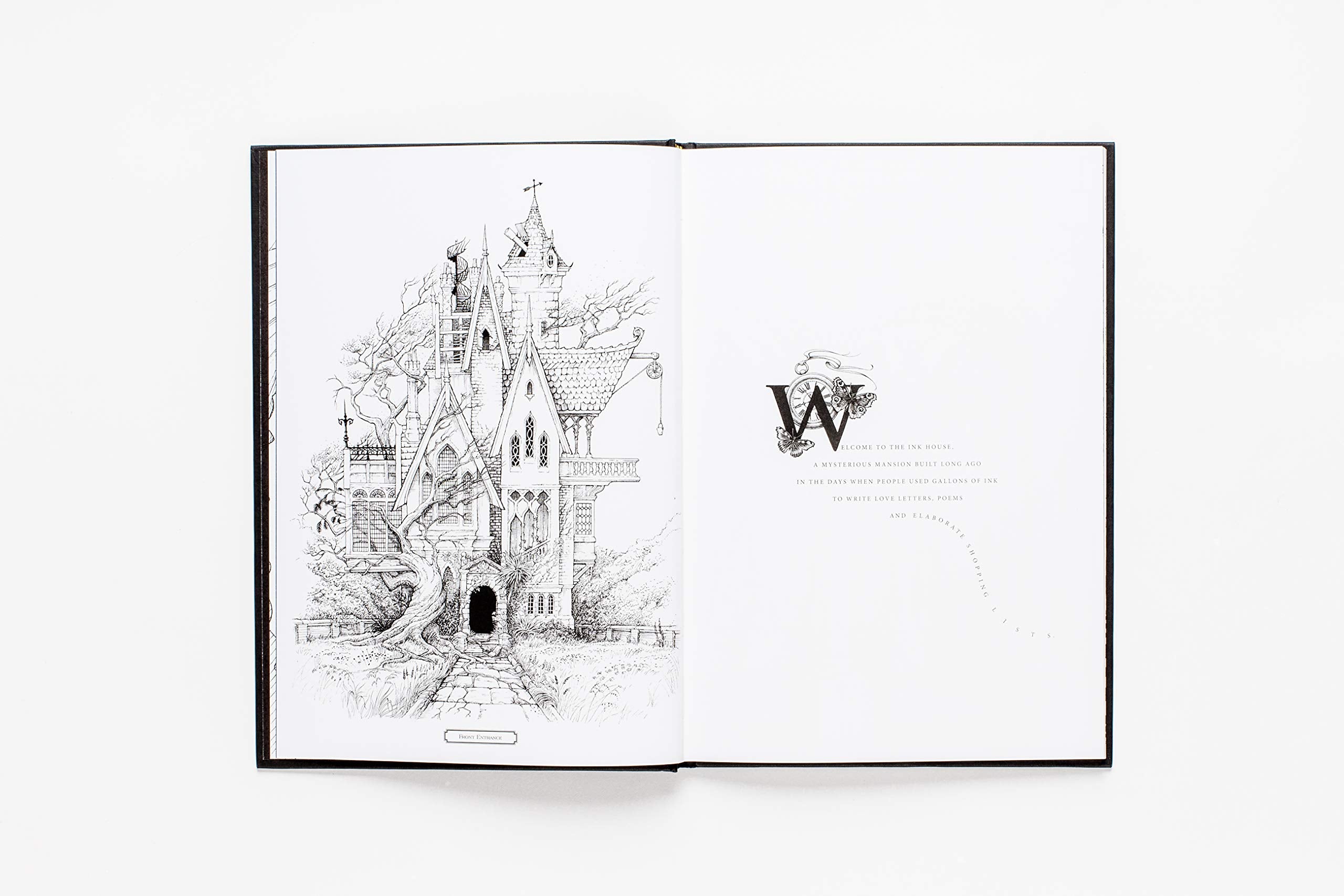The Ink House: A Unique & Imaginative Picture Book | Rory Dobner