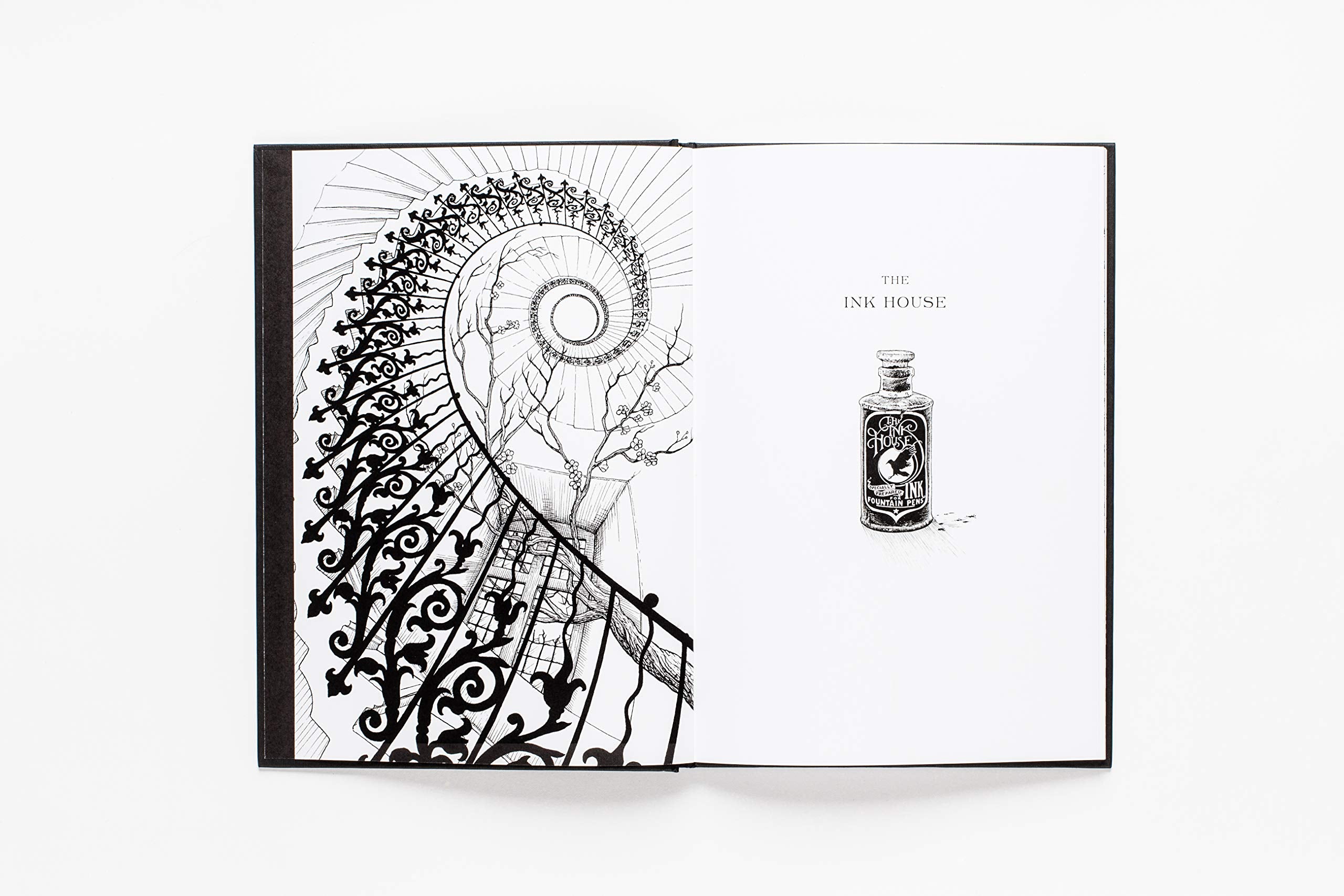 The Ink House: A Unique & Imaginative Picture Book | Rory Dobner