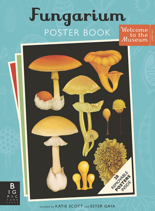 Welcome to the Museum Book Collection | Fungarium {Ester & Scott}