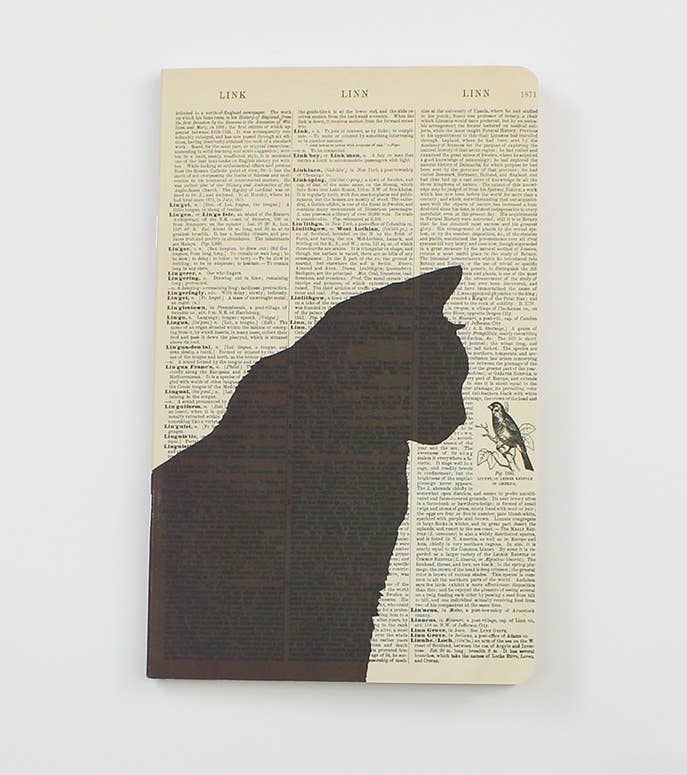 Carnet Chat Noir