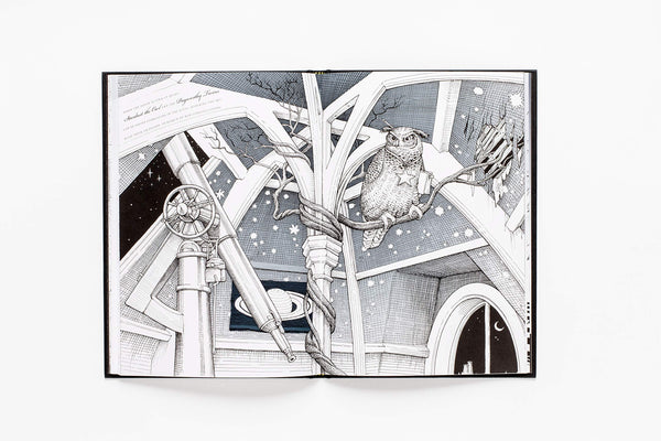 The Ink House: A Unique & Imaginative Picture Book | Rory Dobner