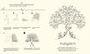 Comment dessiner Inky Wonderlands | Basford