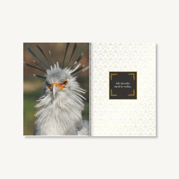 Feathered & Fabulous | Wit and Wisdom from Glamorous Birds