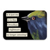 Troubled Birds Vinyl Stickers