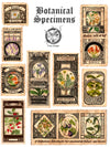 feuille d’autocollants botaniques vintage