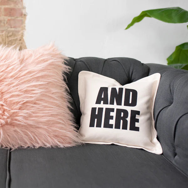 The Dog/Cat Sleeps Here... and Here... Not Here Throw Pillows {multiple designs}