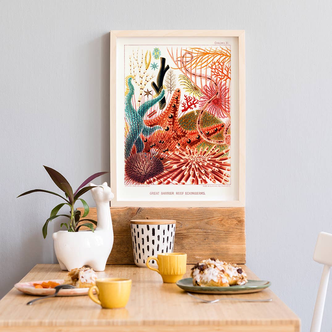 Barrière de corail {styles multiples} | Impression artistique 11