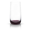 Verres à whisky | Cygne noir {ensemble de 4}