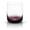 Whisky Glass Set | Black Swan {set of 4}