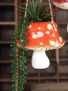 Ceramic Toadstool Planters