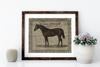 Linen Art Prints | Unframed {multiple designs and sizes}