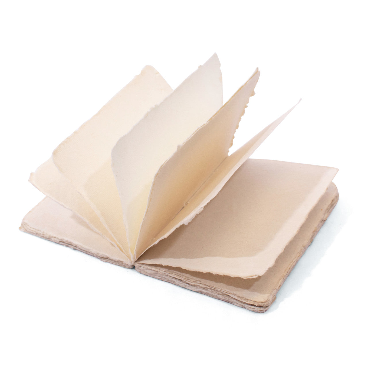 Si jamais il y a un demain {Milne} Carnet Deckled Edge {large}