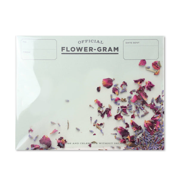 Lavender + Rose {flowergram}