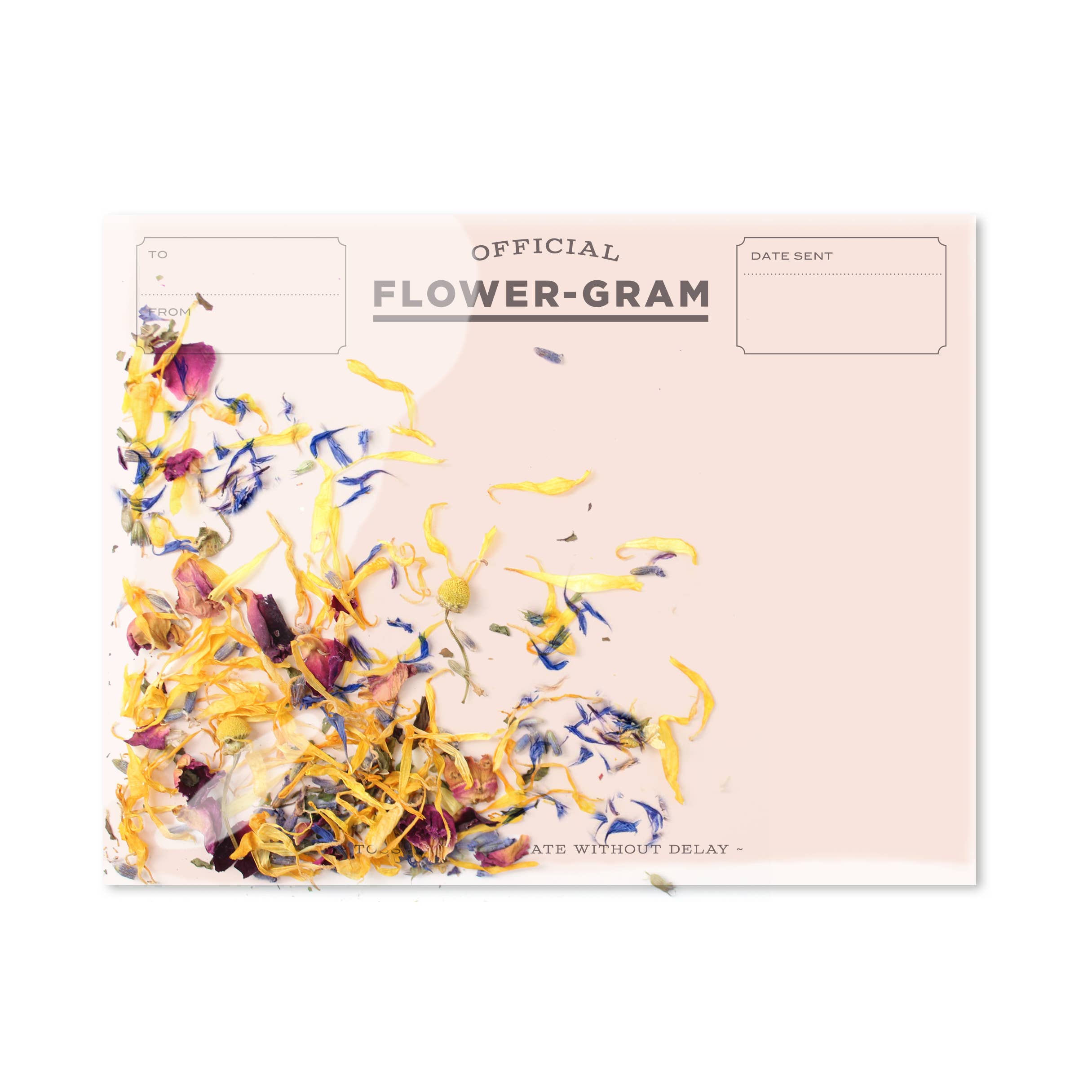 Wildflowers + Mint {flowergram}