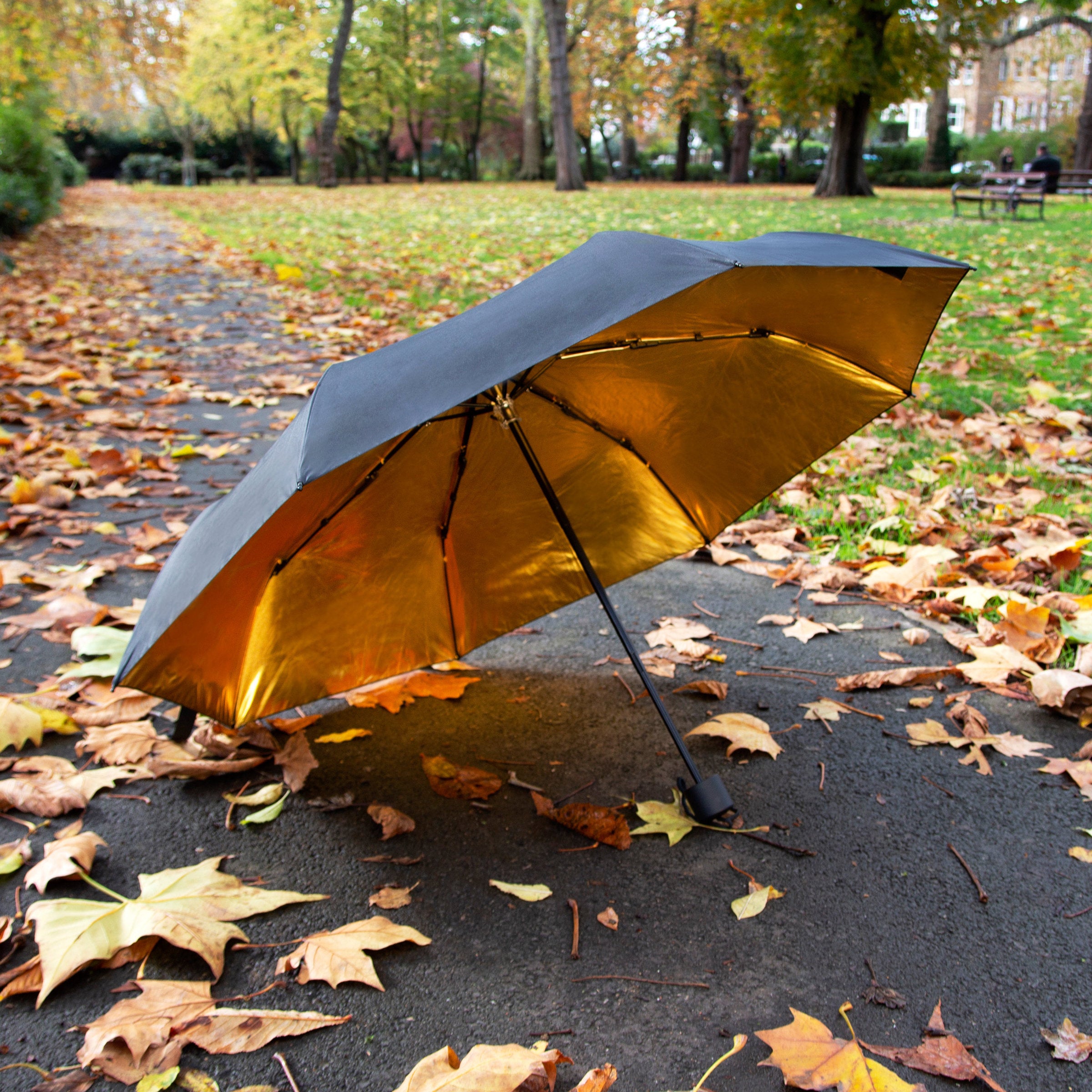 Umbrella | Black and Gold