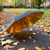 Umbrella | Black and Gold
