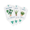 Houseplant Care Tags {clearance}