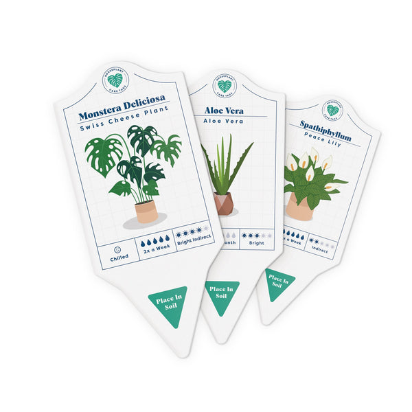 Houseplant Care Tags {clearance}
