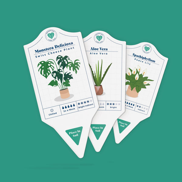 Houseplant Care Tags {clearance}