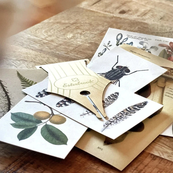 Esterbrook Nib Bookmark