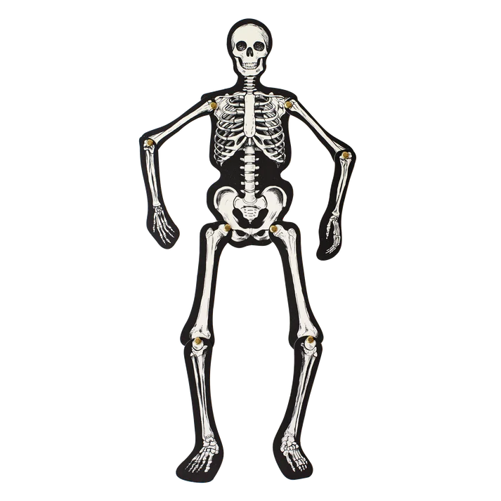 Articulated Skeleton Decorative Accent