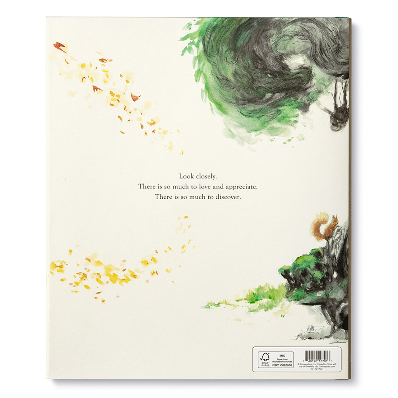 Noticing {Kobi Yamada}
