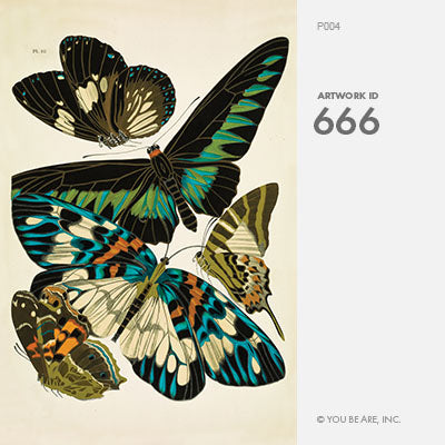 Tirages d’art de la série de regroupements d’entomologie {20x30}