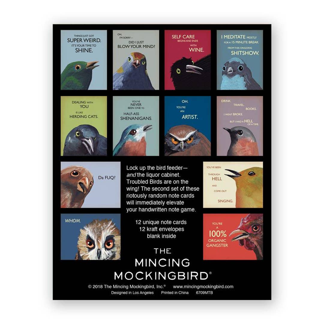 Boxed Cards | More Troubled Birds