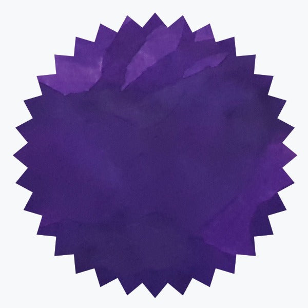 Dragon's Night | Robert Oster Signature Ink {50 mL}