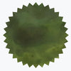Feuille d'eucalyptus | Encre Signature Robert Oster {50 mL}