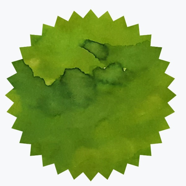 Vert de Rico | Encre Signature Robert Oster {50 mL}