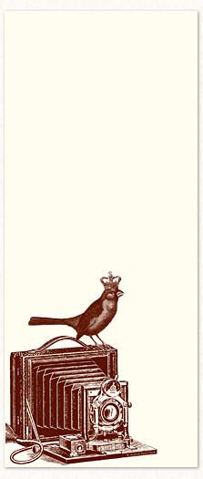 Coussin long Royal Cardinal