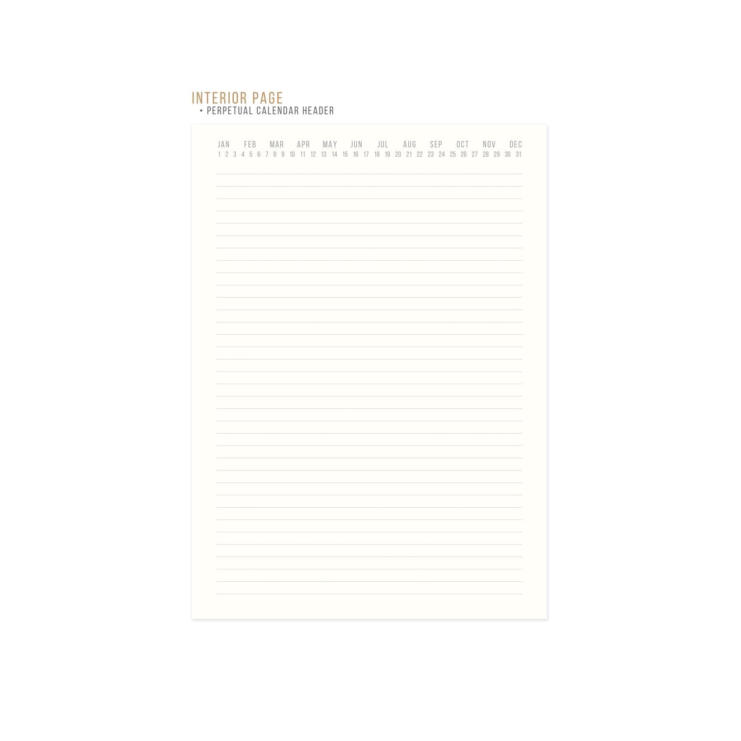 Grand Carnet N°80 | Collection de numéros standards