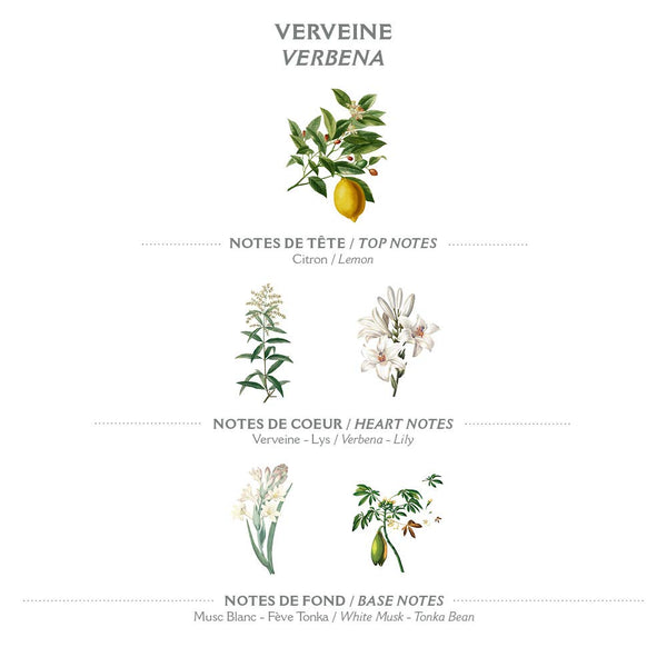 Organic Hand Soap + Lotion | Verveine