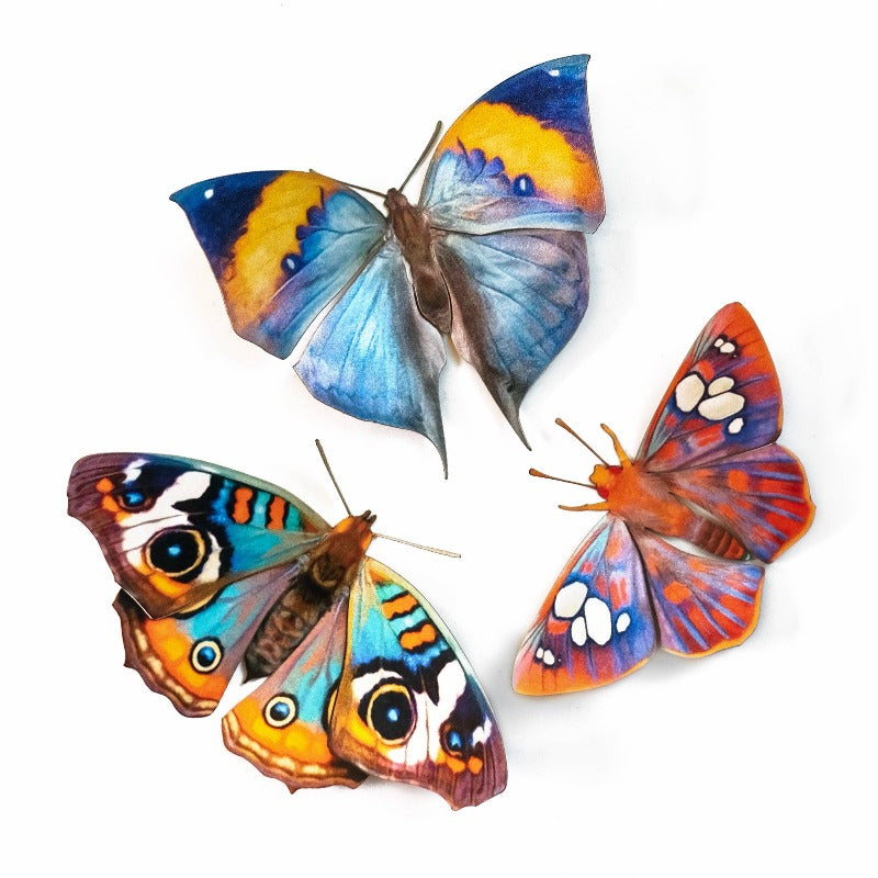 Dawn Butterflies 3pc Laser Cut Specimens