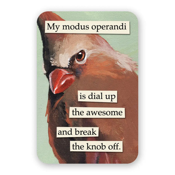 Troubled Birds Vinyl Stickers