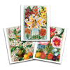Impressions d’art de fleurs vintage | Ensemble de 3 {styles multiples}