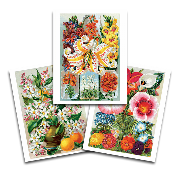 Vintage Flowers Art Prints | Set of 3 {multiple styles}