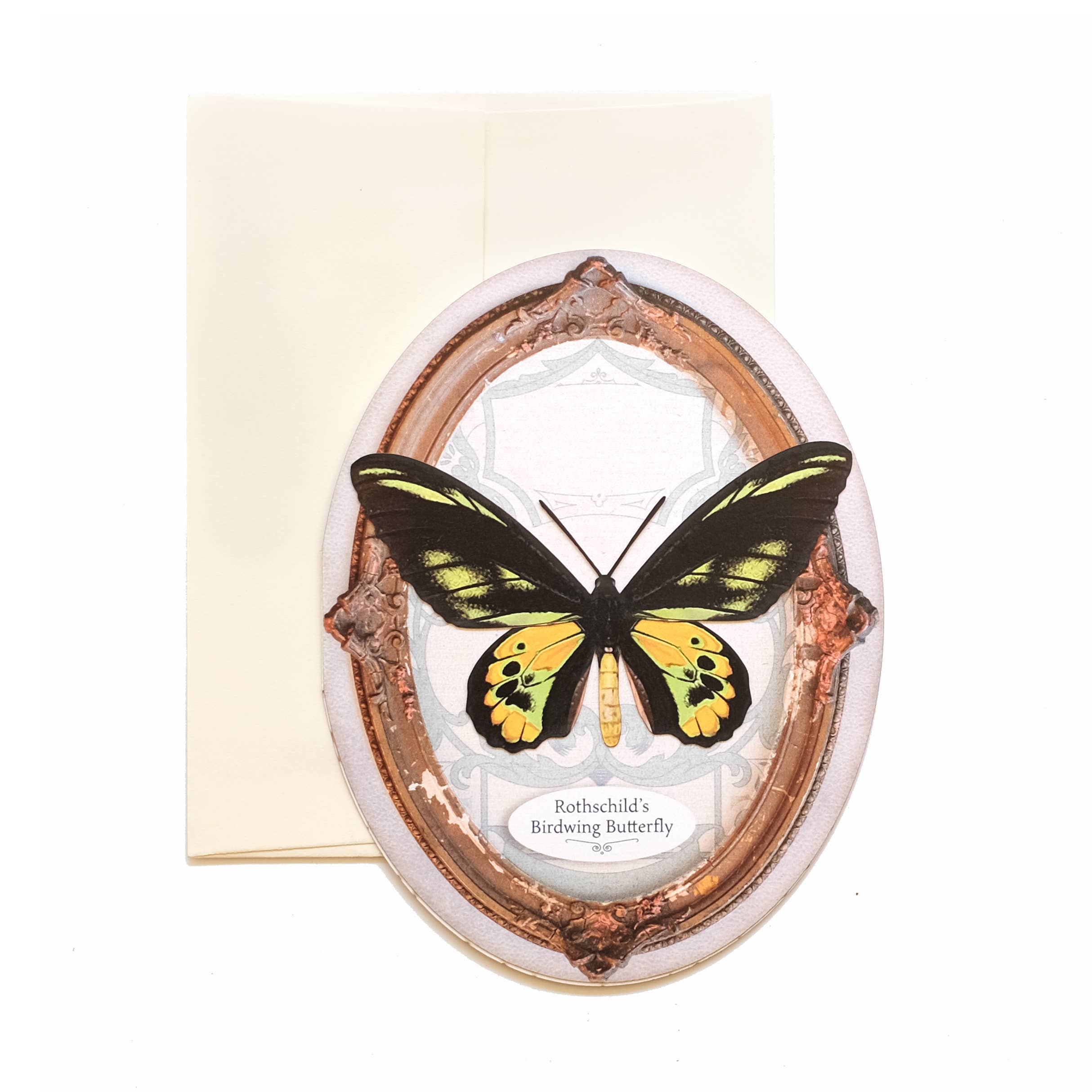 Rothschild's Birdwing Oval Greeting Card