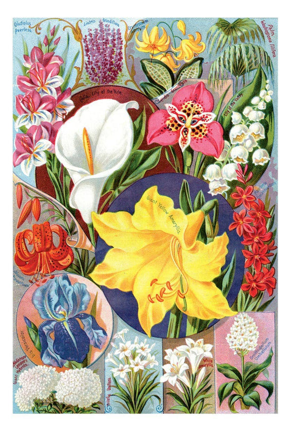 Fleurs de printemps