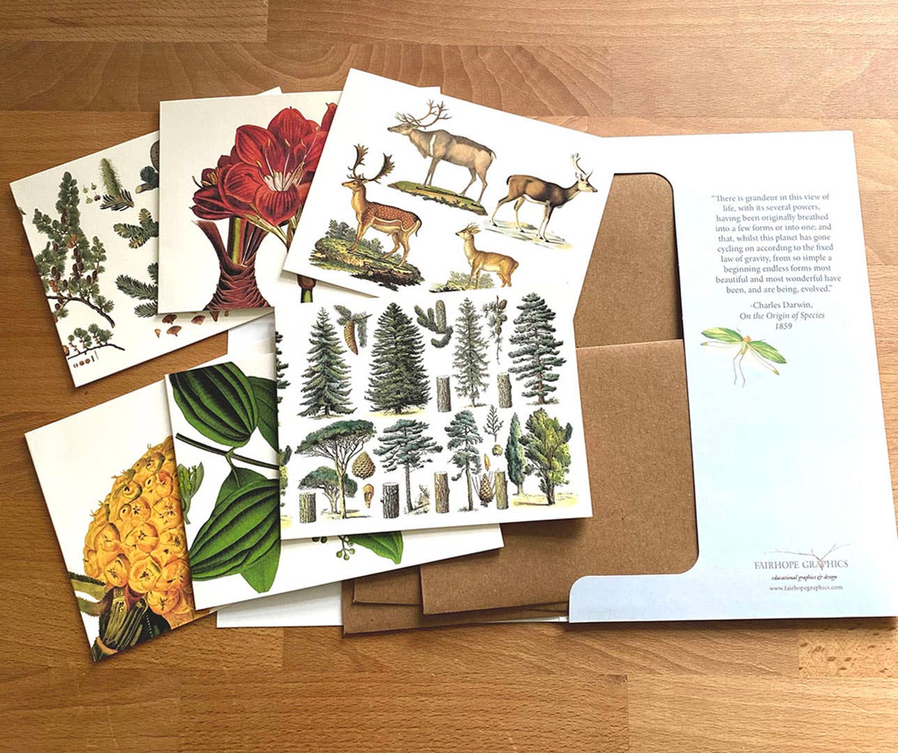 Holiday Card Pack