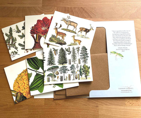 Holiday Card Pack