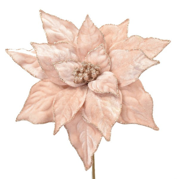 Tige de poinsettia Lux Blush 20
