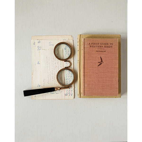 Loupe à lunettes